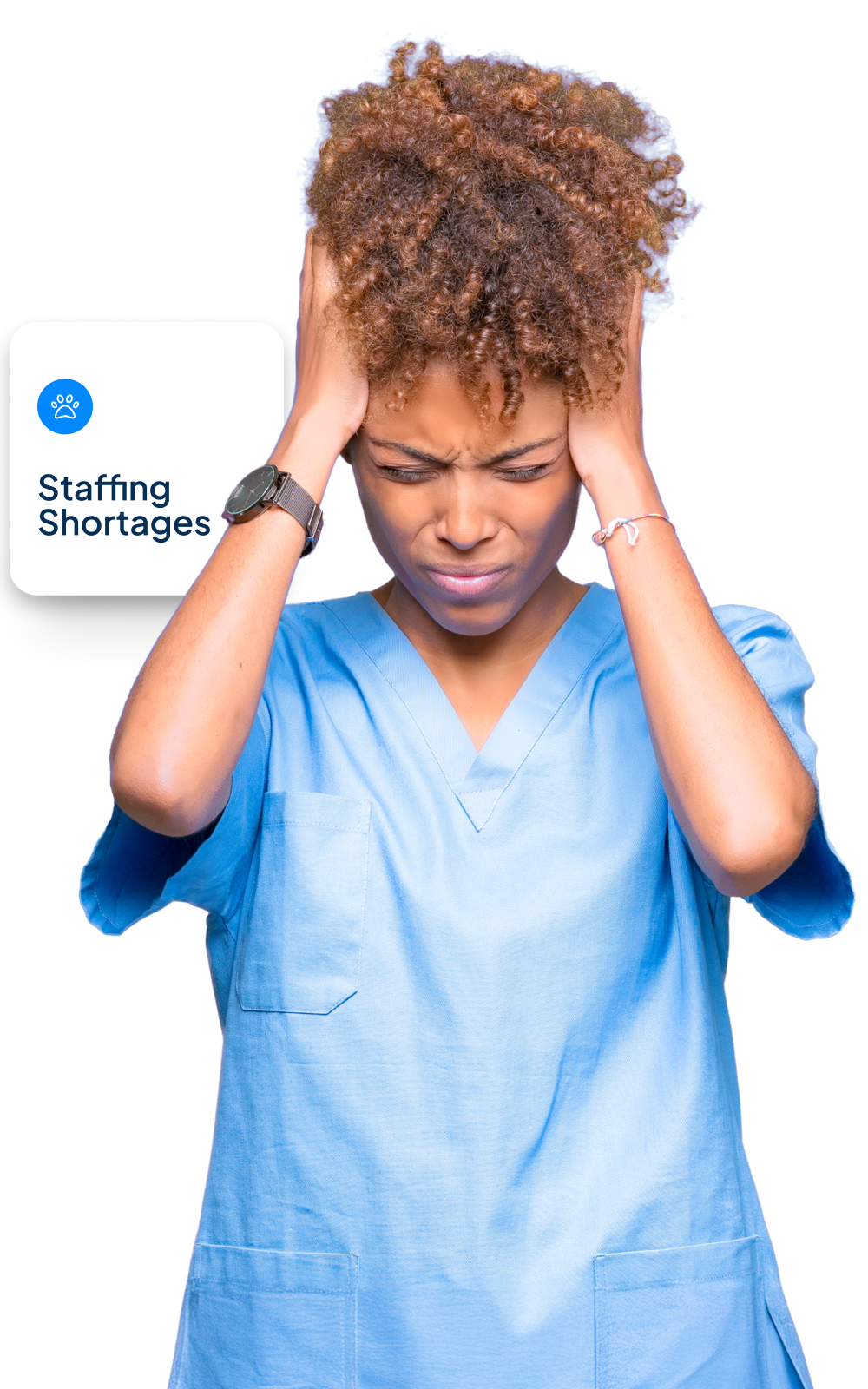 Veterinary Staffing Shortages: Are they the bane of your existence?