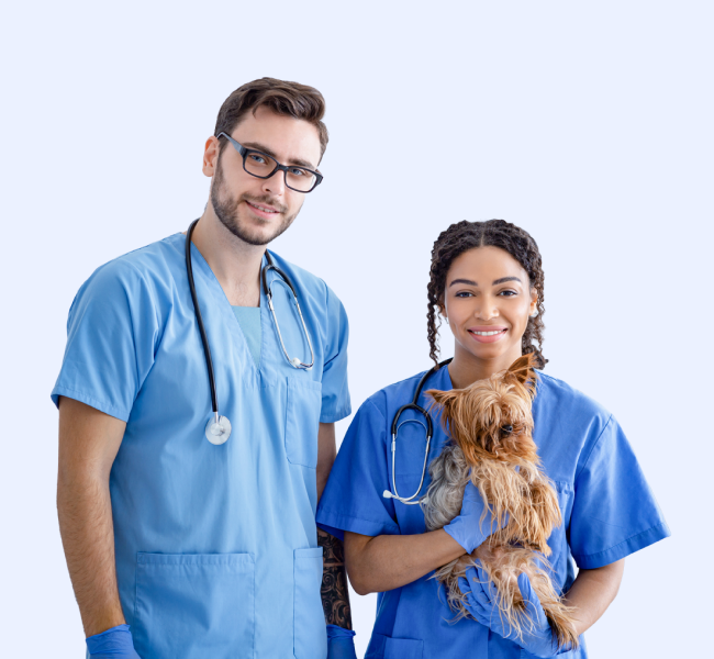 Veterinary Technician vs. Veterinary Assistant: Key Differences