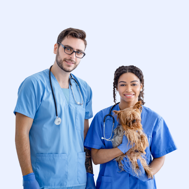 Veterinary Technician vs. Veterinary Assistant: Key Differences